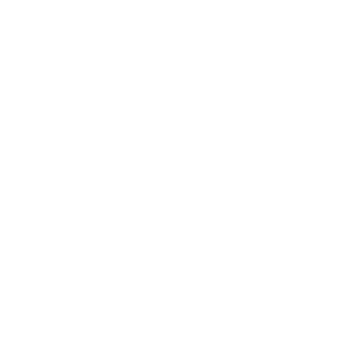 Nuestros Valores